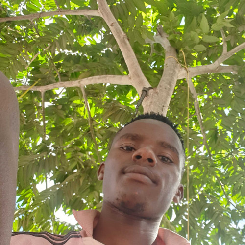 Jackson m. profile photo