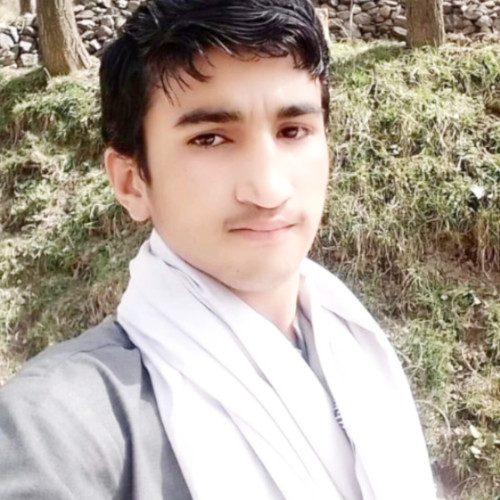 Inamul H. profile photo