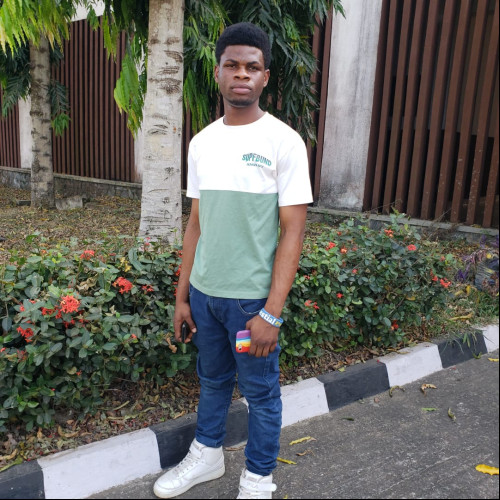 Adedolamu S. profile photo