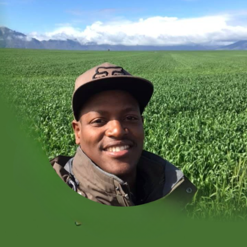 Lindani P. profile photo