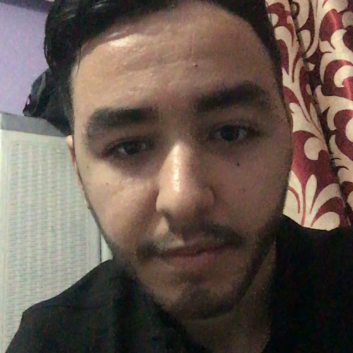 Abdelmalek  M.