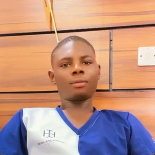 Ayomide S.