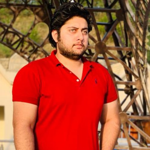 hisham s.