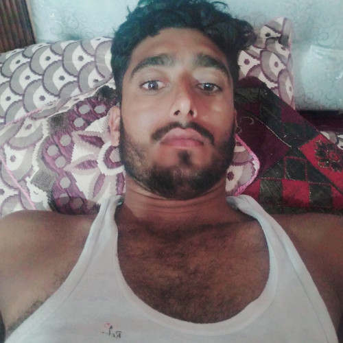 Amir  S. profile photo