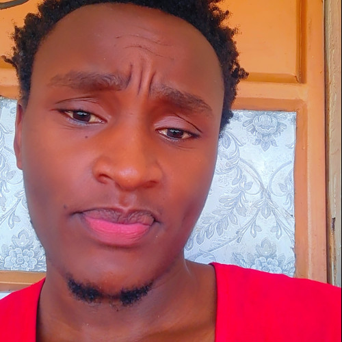 kenedy n. profile photo