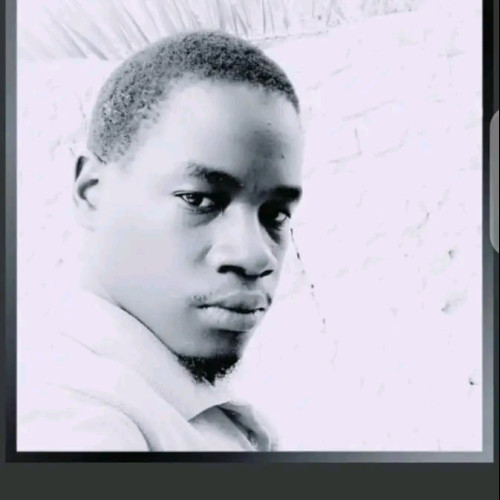 ssewanyana a. profile photo
