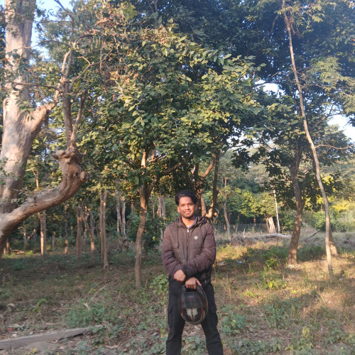 Manish K. profile photo