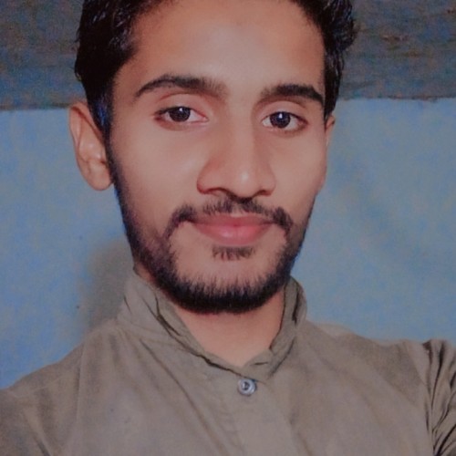 Shahzad R.