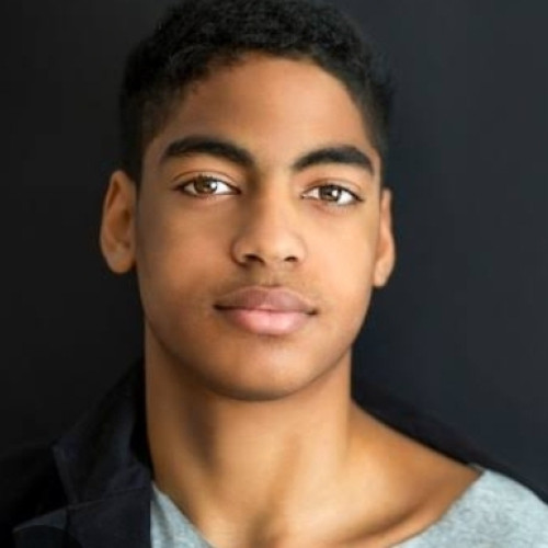 David  S. profile photo