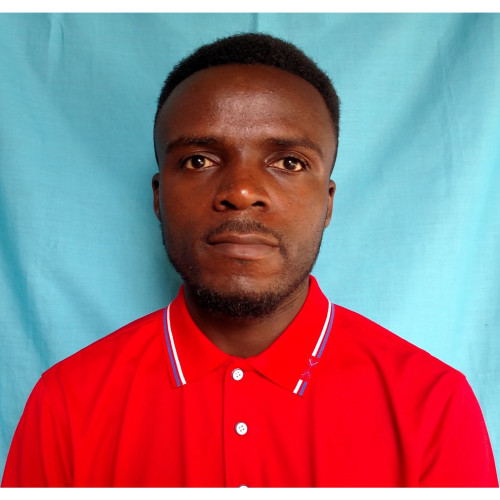 Maulidi I. profile photo