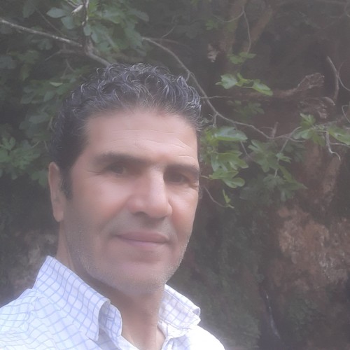 Saoussaou M. profile photo