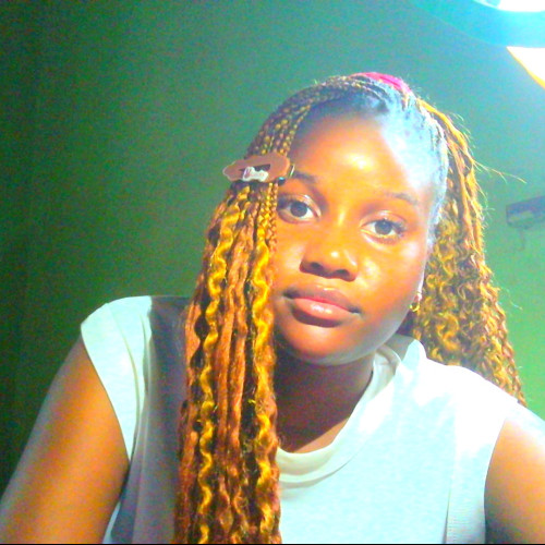 Ololade O. profile photo
