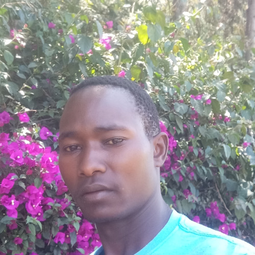 Kennedy  K. profile photo