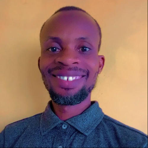 Olawale A. profile photo