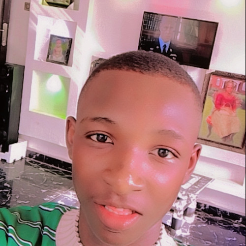 Paulinus  O. profile photo