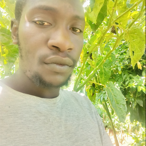 Kevin S. profile photo