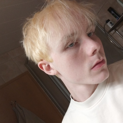 Neils P. profile photo