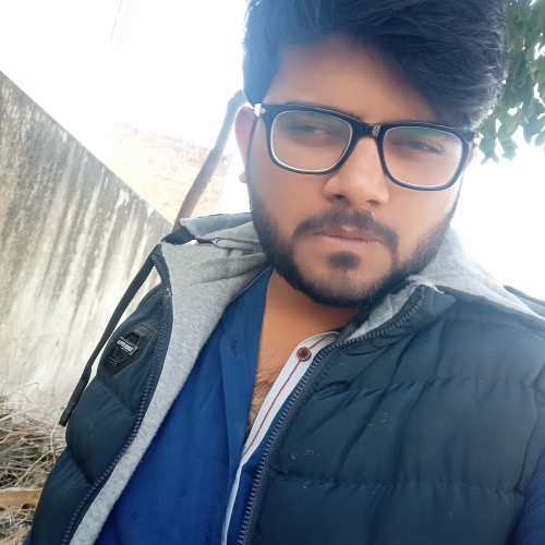 Shehroz A.