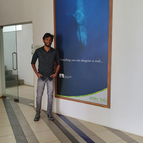 mohamed N. profile photo