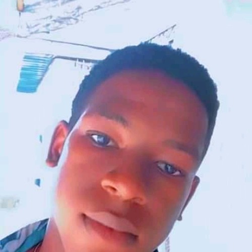 Johnson T. profile photo