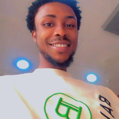 Chimaroke  N. profile photo