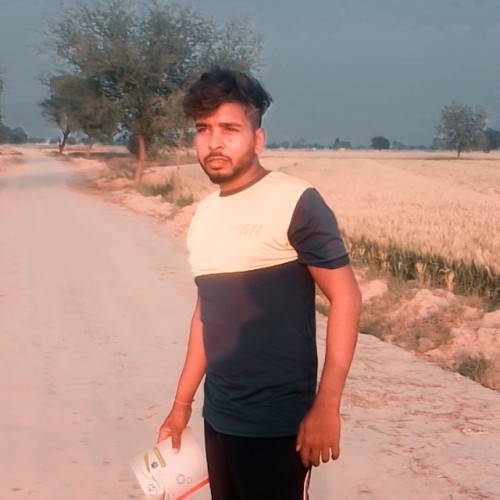 parwinder s.