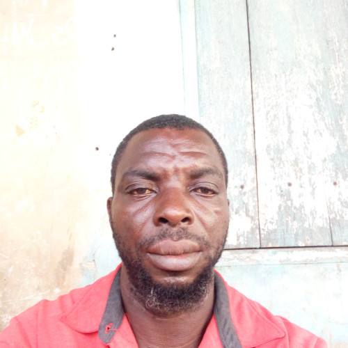 Kayode O. profile photo