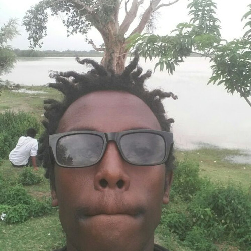 Alemseged A. profile photo