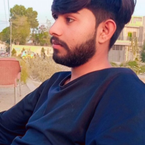 Malik S.