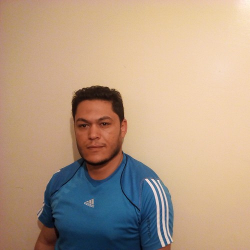 Paolo D. profile photo