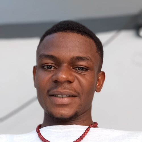 Victor  N. profile photo