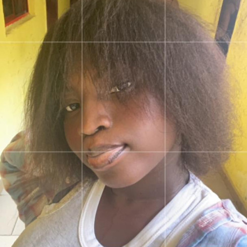 Oluwatobi  E. profile photo