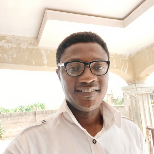 Adeolu A. profile photo