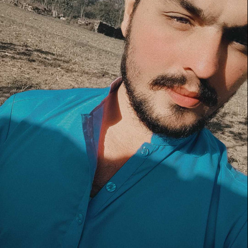 Syed T. profile photo