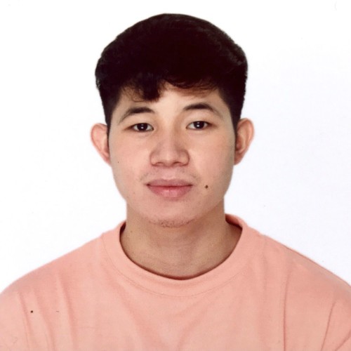 Apollo N.