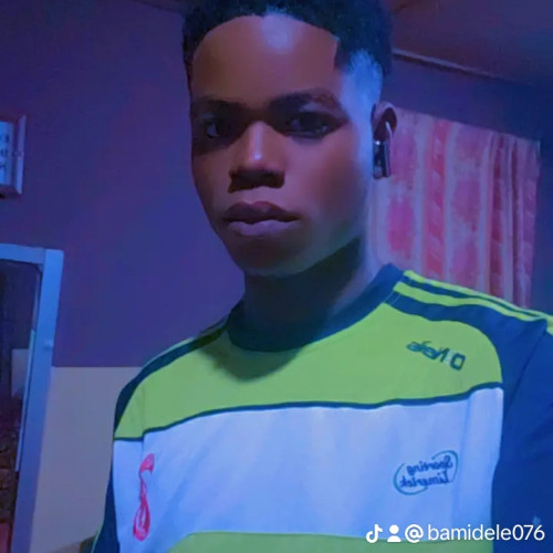 Bamidele  A. profile photo