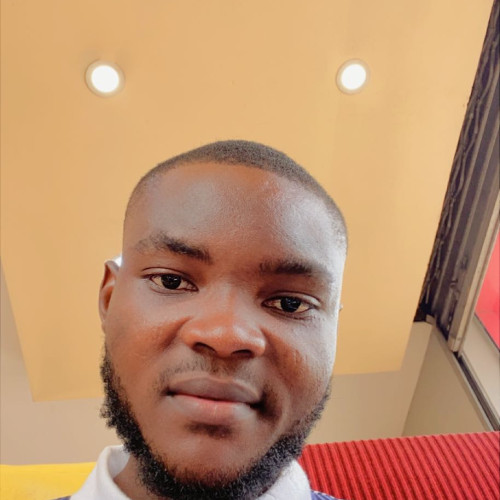 Gbemisola  O. profile photo