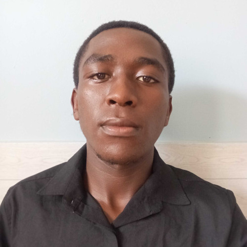 COLLIN N. profile photo