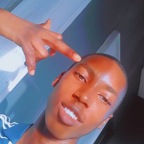 Daniel  W. profile photo