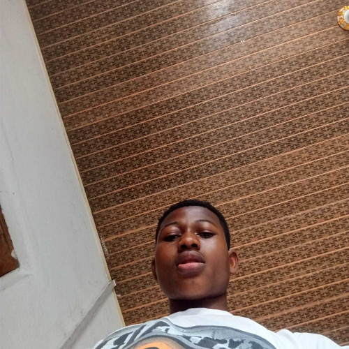 Felix F. profile photo