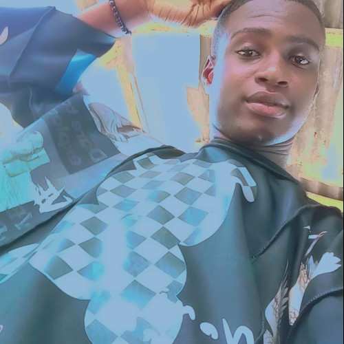 Adeyinka  A. profile photo