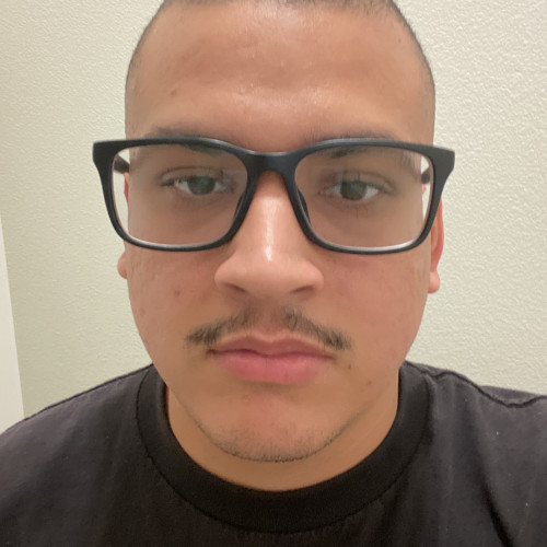Alex M. profile photo