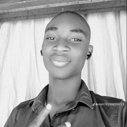 Vincent S. profile photo