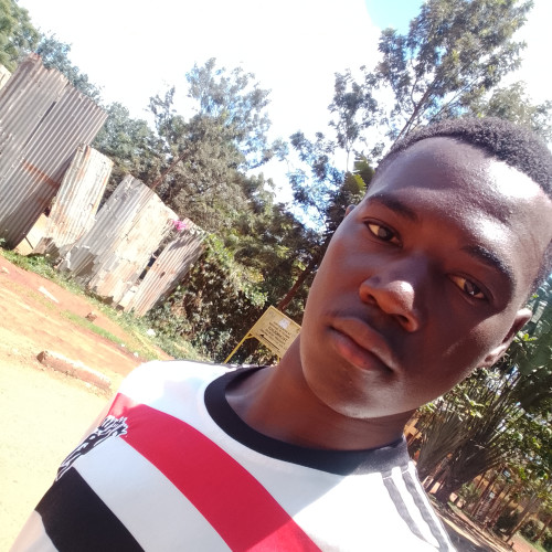 Kelvin O. profile photo
