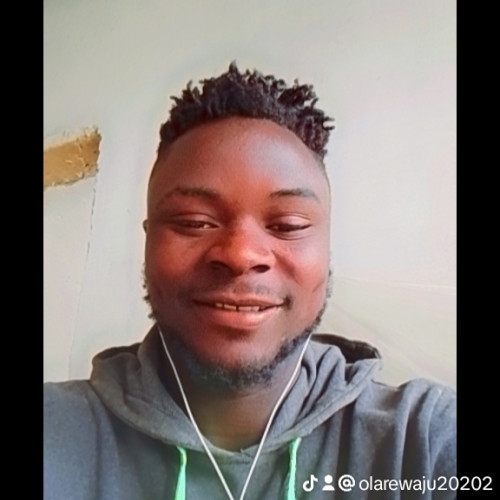 Abdul azeez O. profile photo