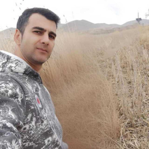 mojtaba a. profile photo