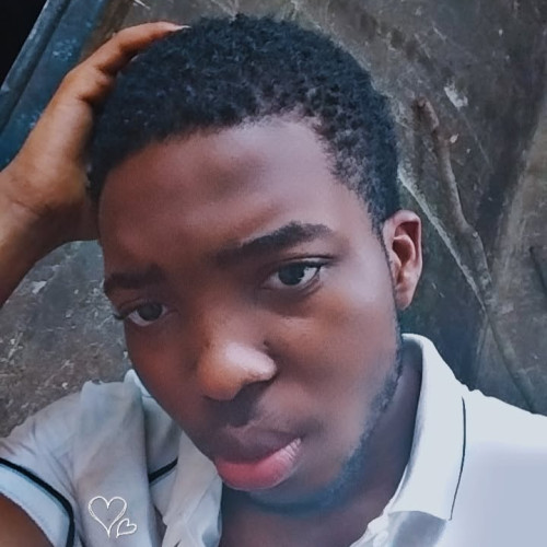 Anselem N. profile photo