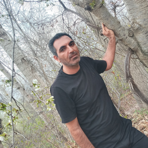 Nader M. profile photo