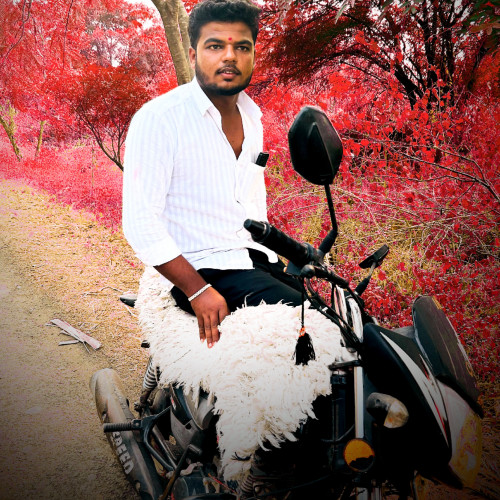 Mauli  B. profile photo