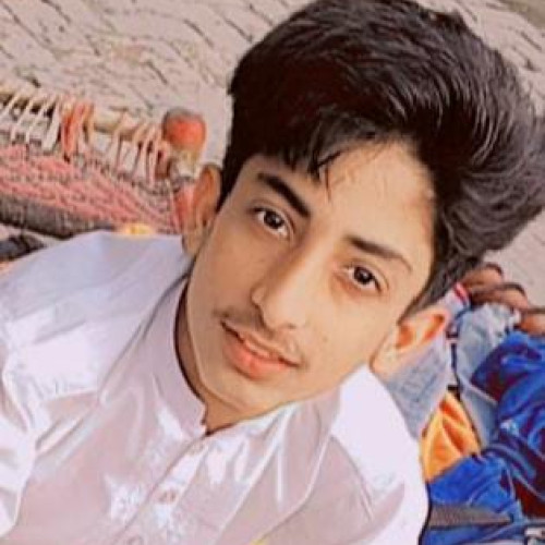 Bilawal W. profile photo